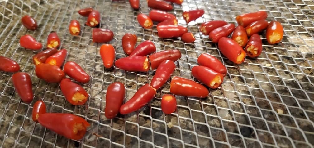Hot chili peppers with the tops cut off in an air fryer